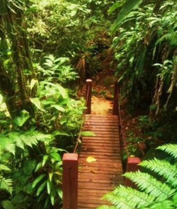 Hotel Bosques Do Massaguacu Карагуататуба Экстерьер фото