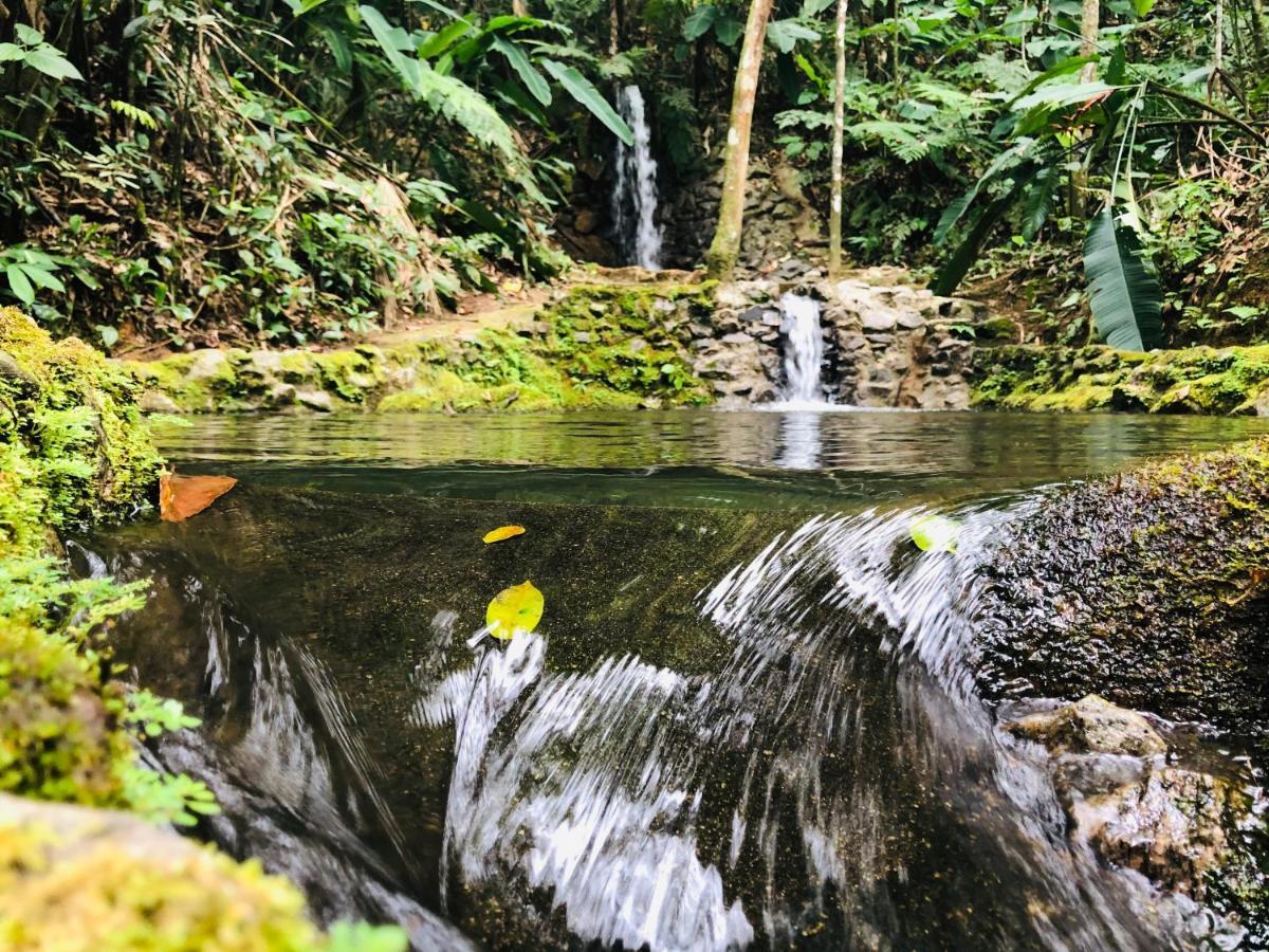 Hotel Bosques Do Massaguacu Карагуататуба Экстерьер фото